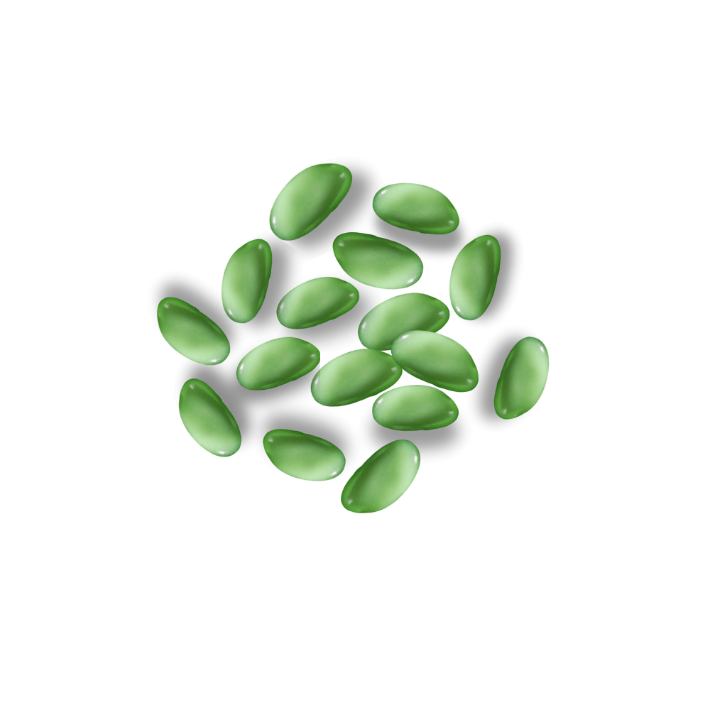 100g